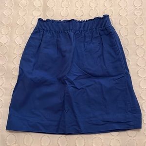 Blue Jcrew skirt